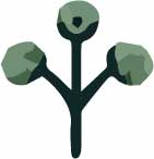 DooPlant 5